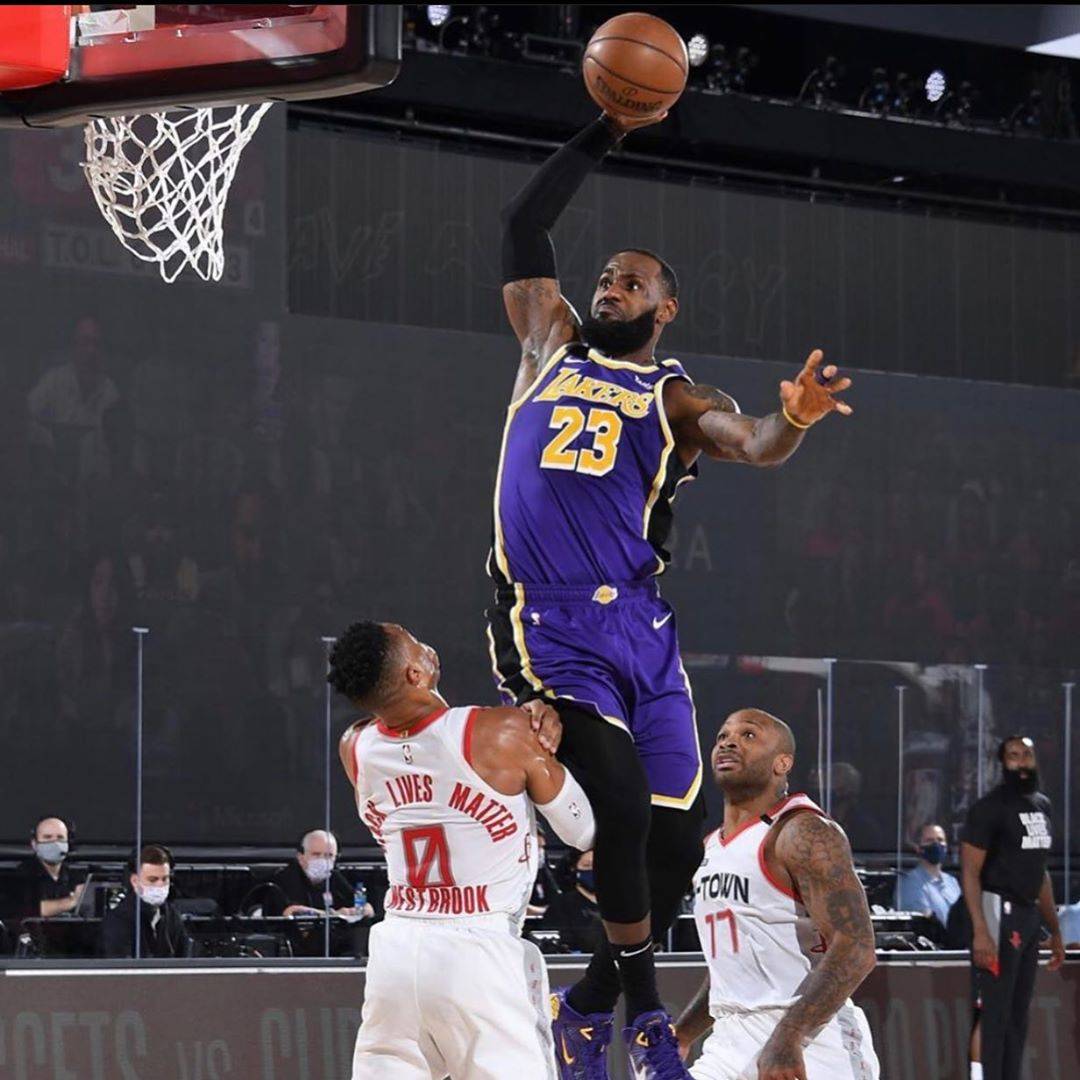 的犬只在短 的犬只在短